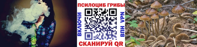 Галлюциногенные грибы прущие грибы как найти Артёмовский